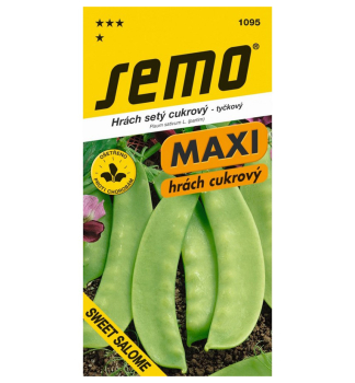 Samen - ZUCKERERBSEN �SWEET SALOME�