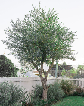 Obr�zok (3)