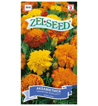 Samen - STUDENTENBLUME - Mischung