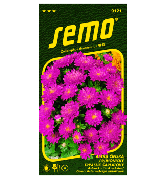 Samen - ASTERN 'PINOCCHIO SCARLET'