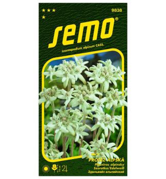 Samen - Alpen-Edelwei�