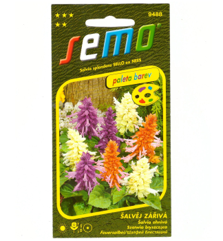 Samen - SAGE BRIGHT 'FARBPALETTE'