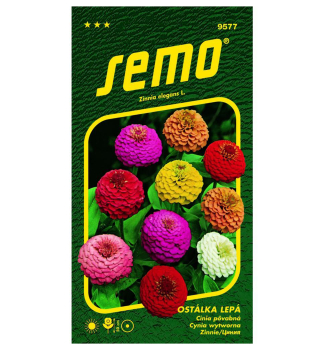 Samen - ZINIA DOUBLE LILLIPUT MIX