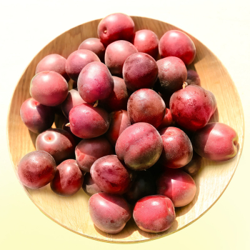 Obrzok (4)