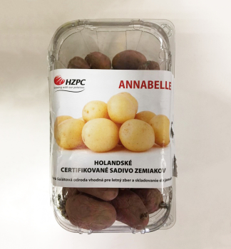 Saatkartoffeln 'ANNABELLE' 1kg