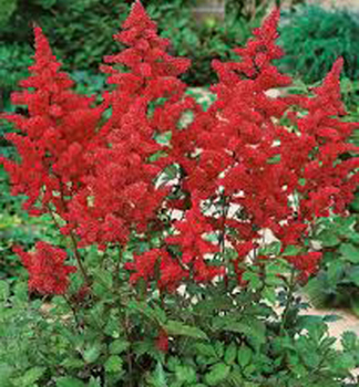 Obrzok_(1)