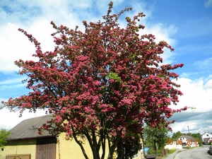 Obrzok (1)