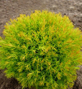 Obr�zok (4)