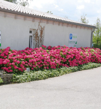 Obrzok (3)