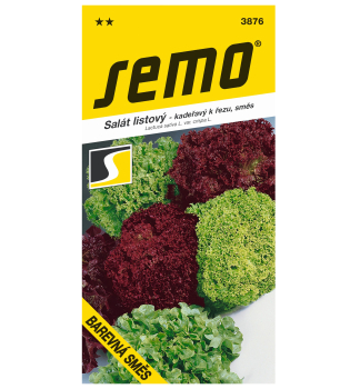Samen - BLATTSALAT 'FARBMISCHUNG'