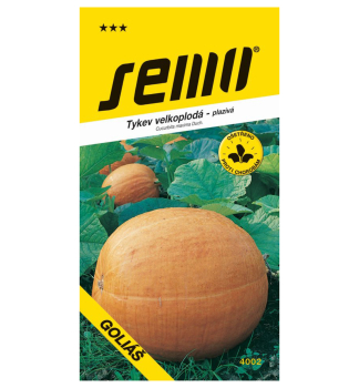 Samen - K�RBIS 'GOLI��'