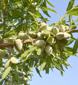 Obr�zok (3)