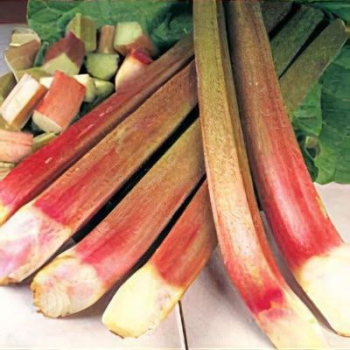 Rhabarber �PONCHO�, Cont. 1 l