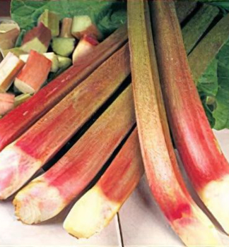 Rhabarber �PONCHO�, Cont. 1 l