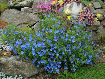 Obrzok (5)
