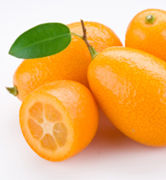 Kumquat 'BIG' 15-20 cm, Cont. 2 l