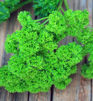 Krause Petersilie �GRANDEUR�� Cont. 1 l