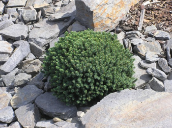 Obrzok (2)