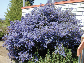 Obrzok (3)
