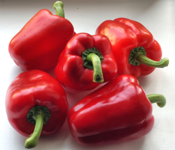 Paprika �SWEET BELLS RED�, kont. 1 l