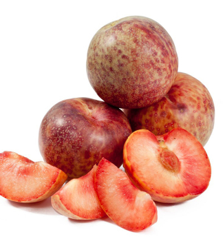 Slivkomara DAPPLE DANDY podp. myrobaln, wurzelnackt