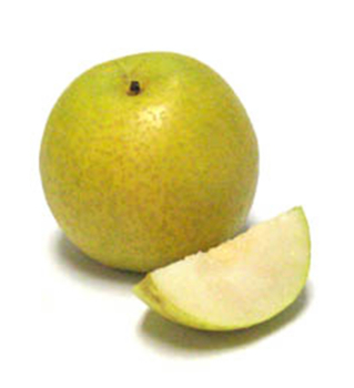 Obrzok (1)
