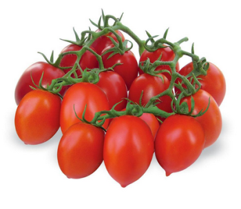 Cherrytomate �DOMINUS F1� Cont. 0,5 l