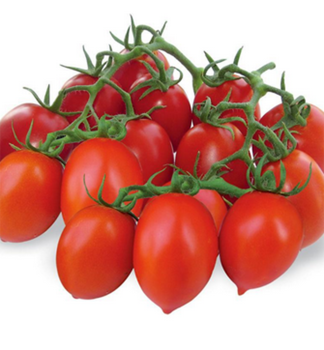 Cherrytomate �DOMINUS F1� Cont. 0,5 l