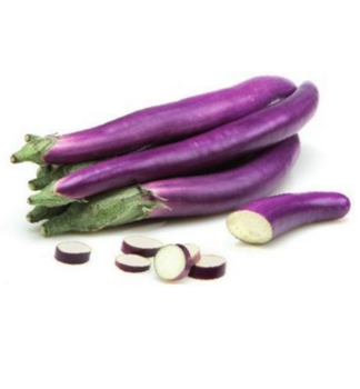 Aubergine BABY VIOLETTA LUNGA F1 Cont. 0,5 l