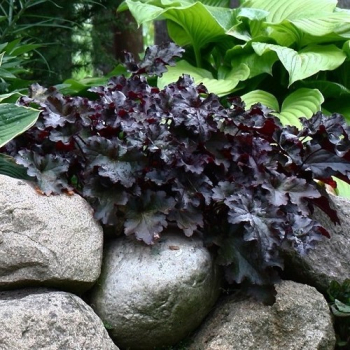 Obrzok (7)