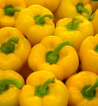 Paprika �SWEET BELLS YELLOW�, kont. 1 l