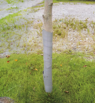 Green Garden GUARDIAN Baumschutz, 100 cm, 3 Stck im Pack