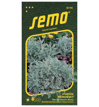 Samen- Greiskraut �SILVERDUST�