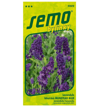 Samen -  LAVENDEL �MUNSTED BLUE�