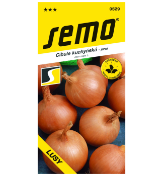 Samen- ZWIEBEL �LUSY�