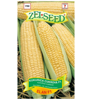 Samen - Zuckermais 'ELAN F1' 28 g
