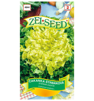 Samen � Winterbinden Endivie �MOSS CURLED�