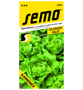 Samen � Kopfsalat �KAMENEX�