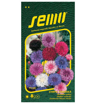 Samen � Flockenblume