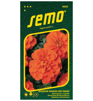 Samen Studentenblume �BONANZA DEEP ORANGE�