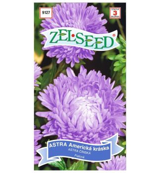 Samen-  SOMMER ASTERN, lila