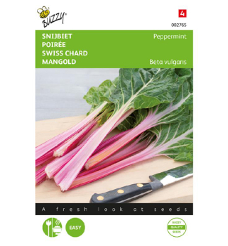 Samen - MANGOLD PEPPERMINT