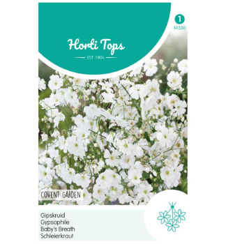 Samen - SCHLEIERKRAUT wei�