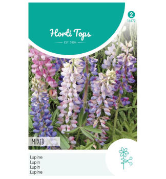Samen - LUPINE Mischung