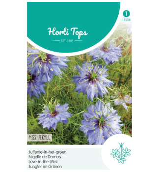 Samen -  JUNGFER IN GRNEN MISS JEKYL BLUE