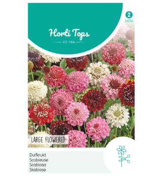 Samen - SCABIOSE Mischung