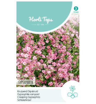 Samen -  SCHLEIERKRAUT rosa