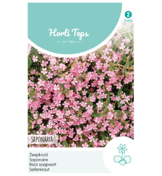 Samen - Steifenkraut