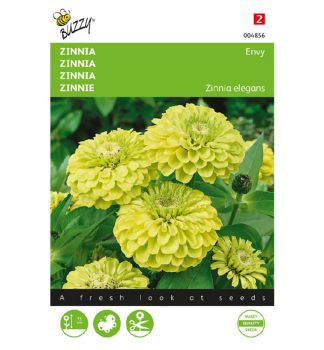 Samen - ZINNIE 'ENVY' grn