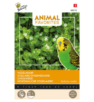 Samen - ANIMAL FAVORITES - Vogelmiere